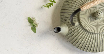 A photo of a beautiful sage green teapot with a few herbs around it.