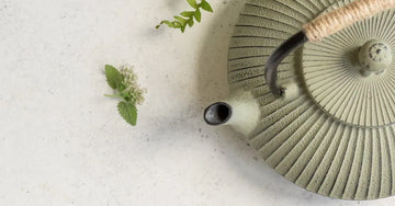 A photo of a beautiful sage green teapot with a few herbs around it.