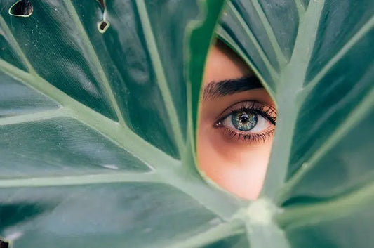 Benefits-of-using-Botanicals-in-Skincare Simple Body