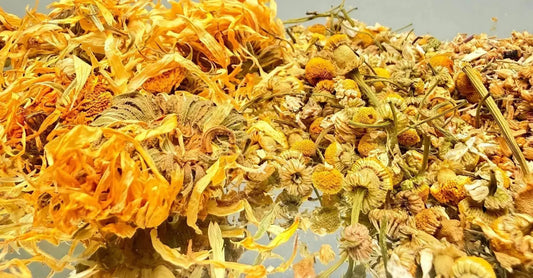 A close up view of dried calendula flowers, chamomile buds and yarrow root botanicals used in Simple Body skincare.