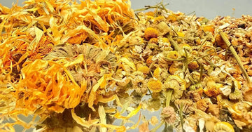 A close up view of dried calendula flowers, chamomile buds and yarrow root botanicals used in Simple Body skincare.