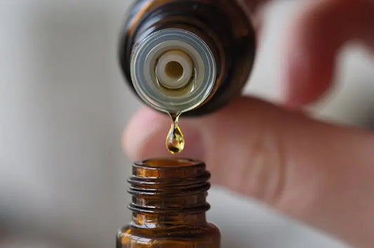 Enjoying-a-Bug-Free-Summer Simple Body