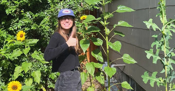 A photo of Emily, a Simple Body Employee standing in her garden with sunflowers and tall plants and giving us the thumb's up!