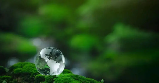 A photo of a vibrant green moss covered grown with a small marble-like globe sitting on top.