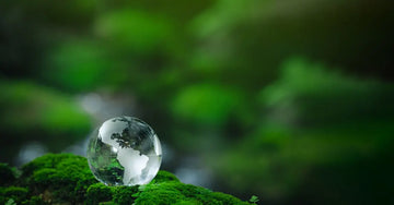 A photo of a vibrant green moss covered grown with a small marble-like globe sitting on top.