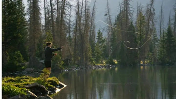A photo of a person fly fishing in a beautiful forest filled with green pine trees standing on a grassy shore casting out over a clear lake.