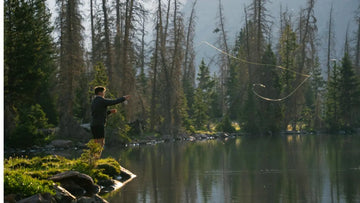 A photo of a person fly fishing in a beautiful forest filled with green pine trees standing on a grassy shore casting out over a clear lake.