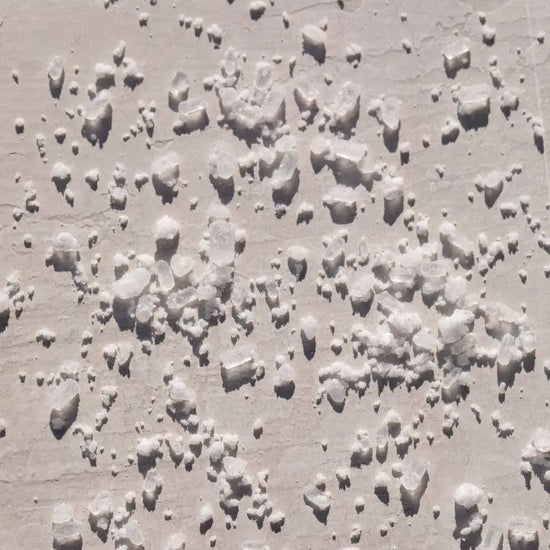 A close-up texture shot of Bloom Bath Co Eucalyptus and Lavender Bath Salt scattered across a light beige surface under bright sunlight.
