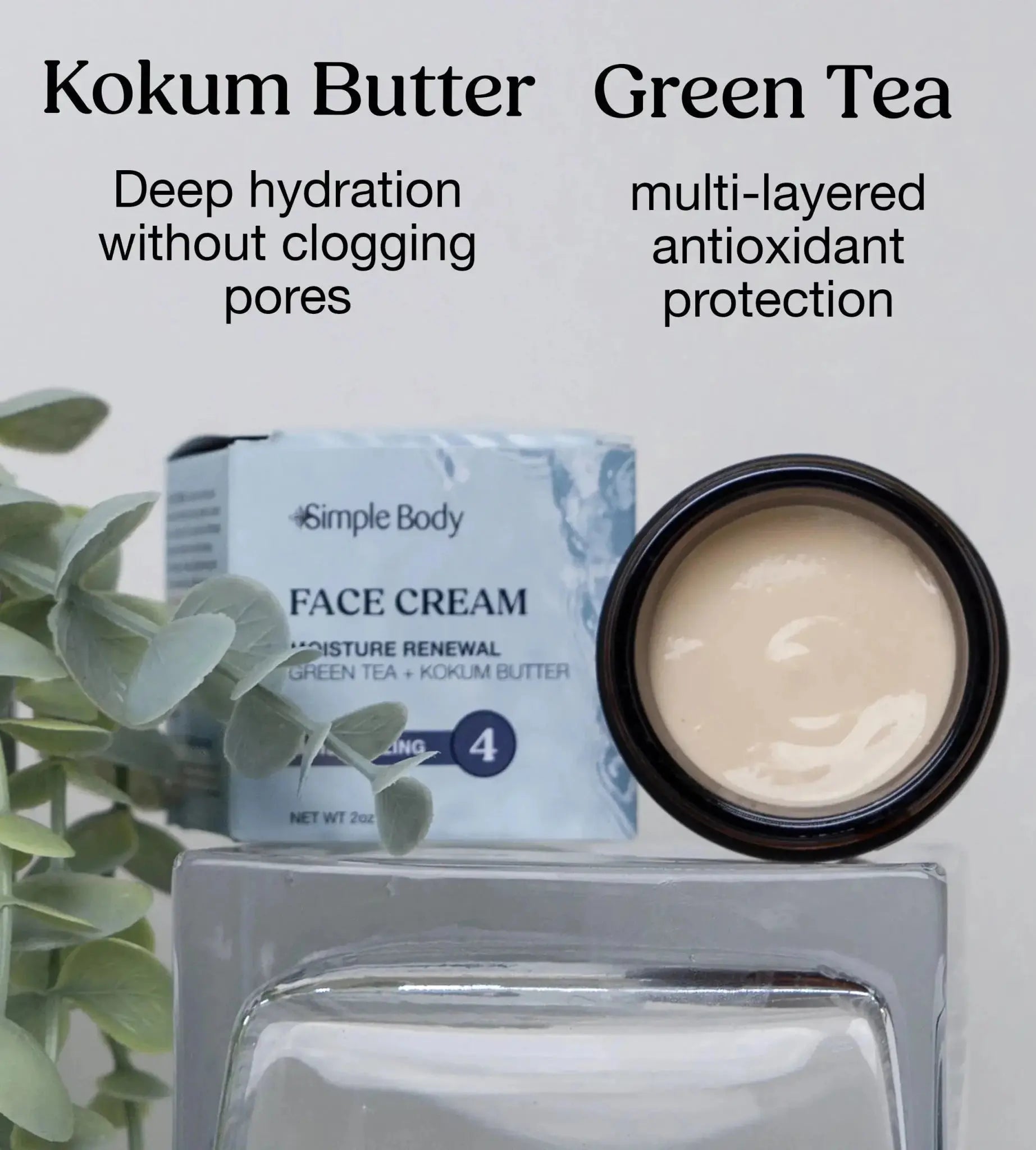 A Jar of open Simple Body Face Cream showing off the creamy white texture and key ingredients Kokum Butter and Green Tea called out as beneficial for the skin with a green plant on the side and white background.